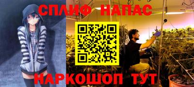 таблы Камышлов