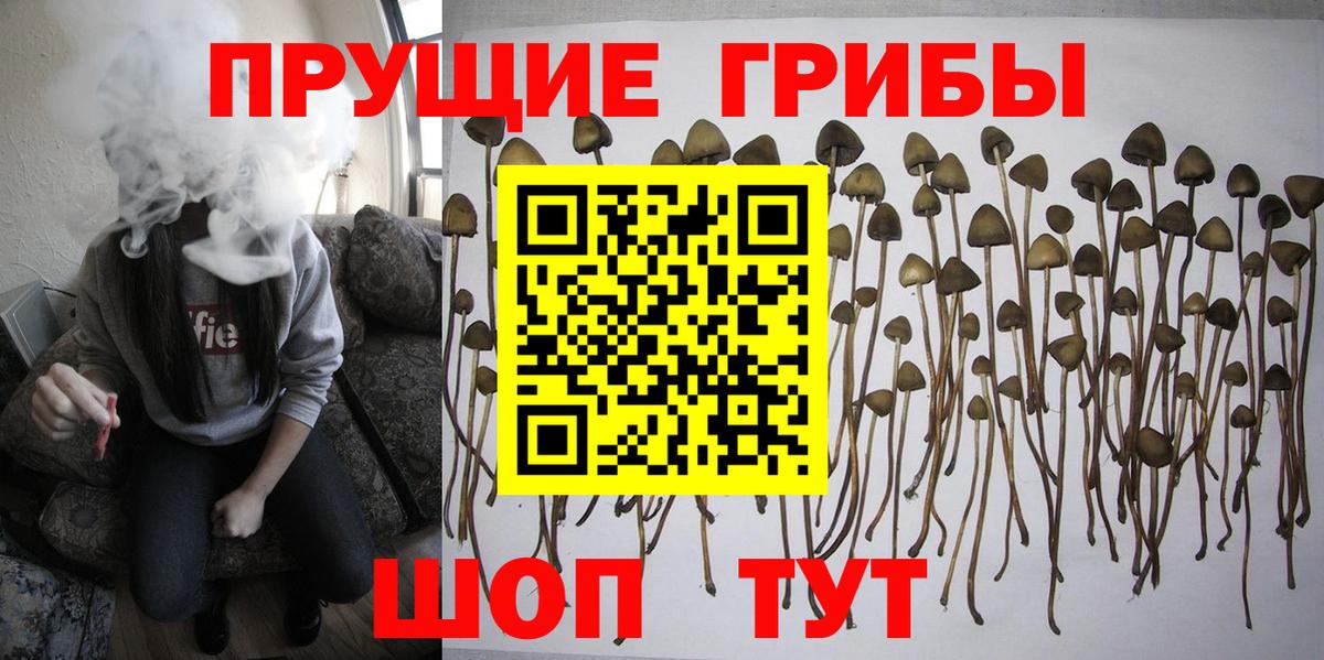 Георгиевск  Галлюциногенные грибы мицелий  Вход с VPN 
