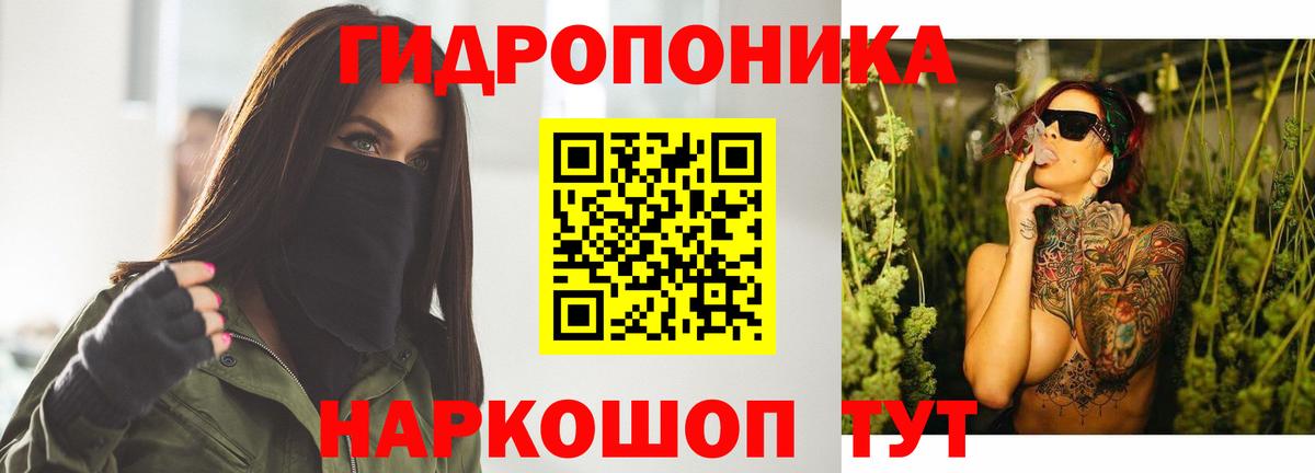 Бошки марихуана тримм  Бошки марихуана ГИДРОПОН  Вход с VPN  Георгиевск 